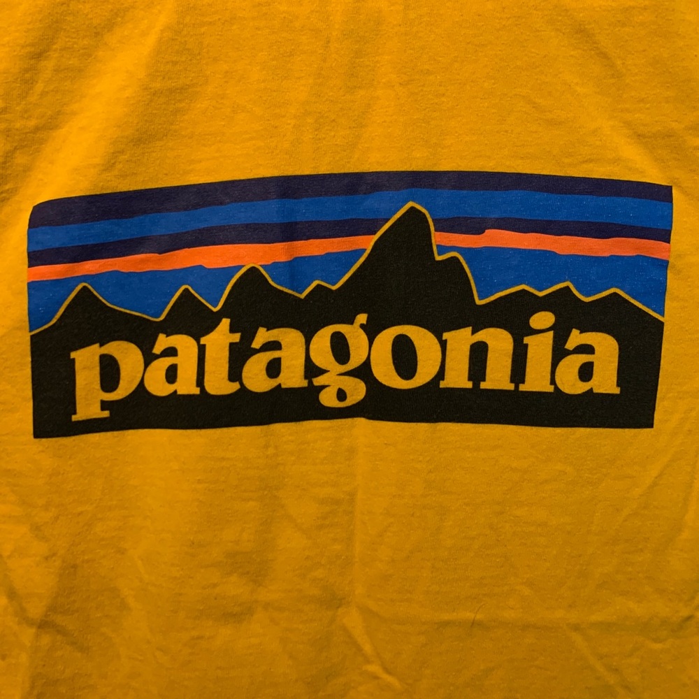 Men’s Short Sleeved Patagonia T-Shirt Size Small